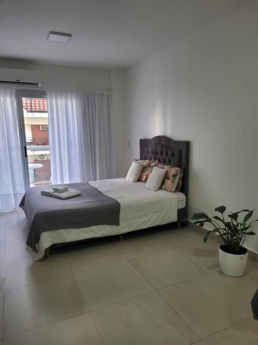 Dolar Oficial Movistar Arena Studio Apartment *